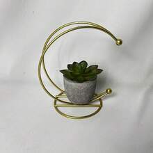 5 pièces Succulente artificielle en pot, petite plante en pot factice pour la décoration de la maison, la Saint-Valentin, les cadeaux - Multicolore - Voir 5