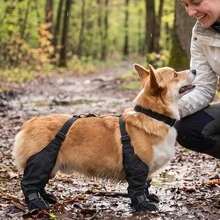 1件裝四季通用防水雨靴，適合小型至中型犬，耐髒黑色，防滑軟底戶外狗鞋，透氣耐用防污爪部保護，輕量易穿脫，雨天散步、旅行與日常使用必備，狗主人必備 - 黑色 - 查看 7