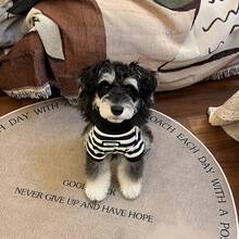 Striped Dog Hoodie, Knitted Pet Sweatshirt, Fashionable Puppy Outfit, With Contrast Trim, Suitable For Puppies And Small Breed Dogs - Multicolor - View 5