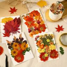 In Stock-Ships Immediately. Fall Dried Pressed Flowers And Leaves For Autumn Crafts Resin DIY Real Pressed Flowers, Ideal For Scrapbooking Candle Making, Autumn Foliage Colors, 100 Pcs Craft Set - Orange - View 6
