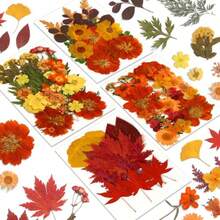 In Stock-Ships Immediately. Fall Dried Pressed Flowers And Leaves For Autumn Crafts Resin DIY Real Pressed Flowers, Ideal For Scrapbooking Candle Making, Autumn Foliage Colors, 100 Pcs Craft Set - Orange - View 7