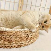 [Large Cat Compatible]Cute Cat Ear Round Woven Cat Scratching Bed & Scratching Post 2-In-1, Durable Rope Knot Scratching Board Comfortable Cat Bed, Indoor Space-Saving Cat Resting Station Scratching & Napping All-In-One Cat Supplies, Perfect For Medium And Large Cats - Multicolor - View 4