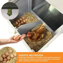 Raised Coop With Wooden Nesting Box, Protects Chickens From Predators And Is Easy To Clean - 淺灰色 - 查看 6