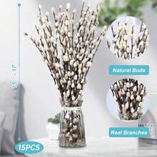 In Stock-Ships Immediately. 15 Stems Preserved PussyWillow, 17" White For Wedding Home And Fireplace Natural Plants Branches, Dried Flowers, Real Willows, Indoor Outdoor Decor, Party DIY Floral Art, Vase Fillers, Spring Easter - White - View 3