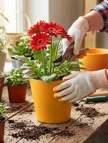 20/2pcs Colorful Mini Plastic Succulent Planters With Drainage Holes And Trays, Portable Lightweight Small Flower Pots, Indoor/Outdoor Nursery Containers, Space-Saving Home Garden Decor, Practical Gardening Gift - Multicolor - View 3