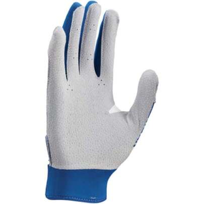 Nike Adult Hyperdiamond Select 2.0 Batting Gloves Royal | Silver Medium,45863911