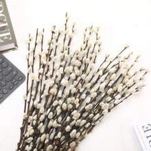 In Stock-Ships Immediately. 15 Stems Preserved PussyWillow, 17" White For Wedding Home And Fireplace Natural Plants Branches, Dried Flowers, Real Willows, Indoor Outdoor Decor, Party DIY Floral Art, Vase Fillers, Spring Easter - White - View 2