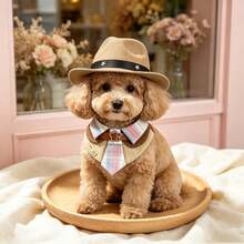 2pcs/Set Pet Western Style Hat & Star Buckle Bandana, Cute Pet Photo Props & Party Accessories For Cats And Puppies, Versatile Outfit Accessories For Party Dress-Up - Multicolor - View 3