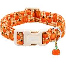 Elegant Small Tail Halloween Dog Collar, Pumpkin Print Autumn Pet Collar, Soft Puppy Collar, Cute Adjustable Holiday Collar - Orange - View 1