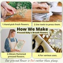 In Stock-Ships Immediately. 120 Pcs Pressed Baby's Breath Flowers Bulk, 100% Natural White Gypsophila Ready-To-Use Real Flowers With Delicate Texture For Greeting Cards, Wedding, Resin Jewelry, Bookmarks, Creative DIY Crafts. - White - View 6