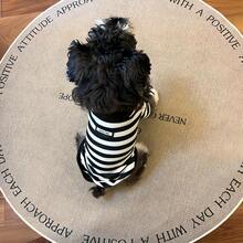 Striped Dog Hoodie, Knitted Pet Sweatshirt, Fashionable Puppy Outfit, With Contrast Trim, Suitable For Puppies And Small Breed Dogs - Multicolor - View 4
