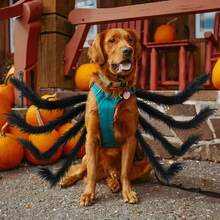 1 Set Pet Spider Costume, Halloween Spider Outfit, Suitable For Cats And Small To Medium Dogs, Halloween Party Dress-Up Accessory - Black - View 8