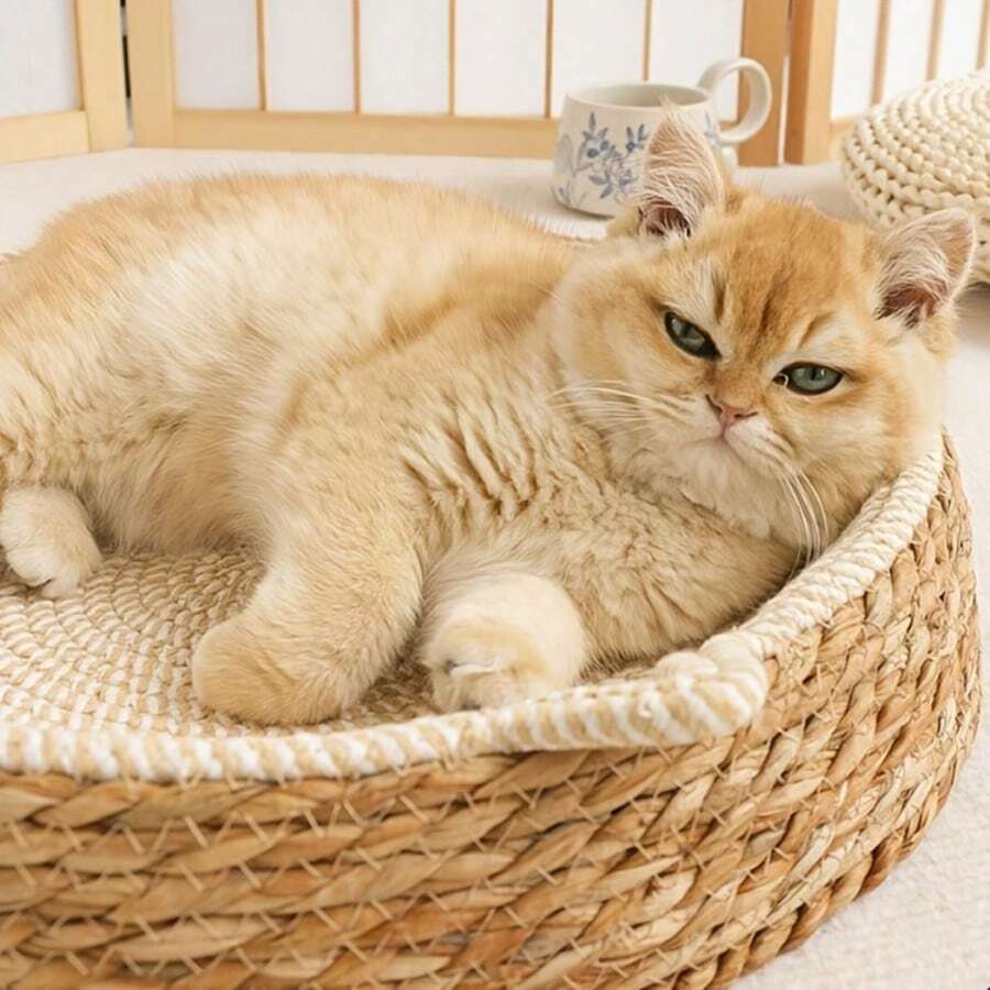 [Large Cat Compatible]Cute Cat Ear Round Woven Cat Scratching Bed & Scratching Post 2-In-1, Durable Rope Knot Scratching Board Comfortable Cat Bed, Indoor Space-Saving Cat Resting Station Scratching & Napping All-In-One Cat Supplies, Perfect For Medium And Large Cats