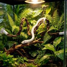 Set Aksesori Ular Reptil 2 Buah, Tali Panjat Kepang Fleksibel dan Hammock Jaring Segitiga (Dengan Perekat Hisap), Mainan Ular, Dekorasi Tempat Beristirahat dan Panjat untuk Kandang Reptil, Cocok untuk Ular, Python, dan Lingkungan Habitat Reptil. - View 4