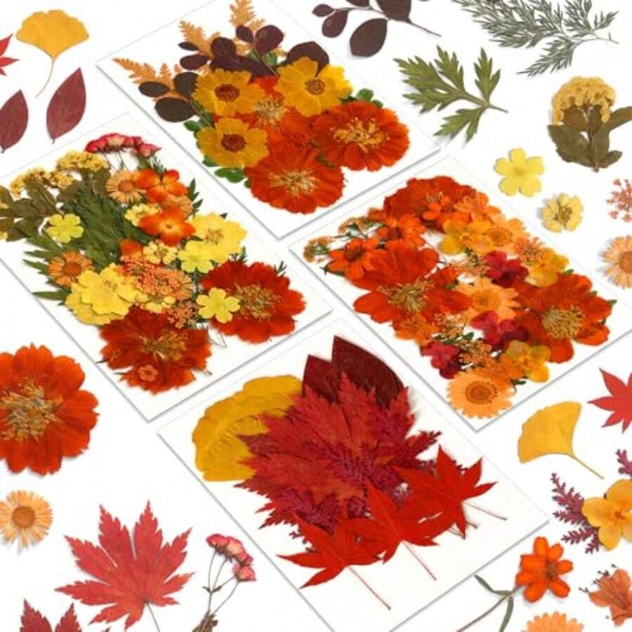 In Stock-Ships Immediately. Fall Dried Pressed Flowers And Leaves For Autumn Crafts Resin DIY Real Pressed Flowers, Ideal For Scrapbooking Candle Making, Autumn Foliage Colors, 100 Pcs Craft Set - Orange - View 1