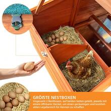 Raised Coop With Wooden Nesting Box, Protects Chickens From Predators And Is Easy To Clean - Gold - View 6