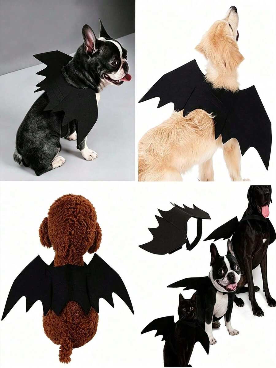1pc/Set - Pet Bat Wings Halloween Party Decoration, Puppy Collar Leaf Role Play Bat Costume, Cute Puppy Cat Costume Accessory, Suitable For Halloween Party, Halloween Trick Or Treat Walk, Pet Costume Competition, Themed Photo Shoot, Holiday Pet Gift - Multicolor - View 1