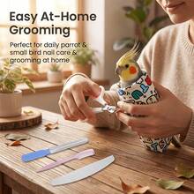 4-Piece Bird Grooming Kit, Includes Nail Clipper, Feather Brush, File, And Beak Grinder - Compact And Easy-To-Use Tools For Cockatiel, Parrot, Lovebird And Other Small Pet Birds - Daily Feather, Nail And Beak Care - Multicolor - View 4