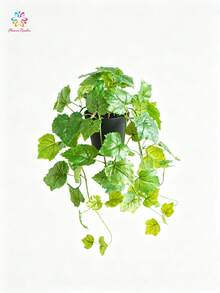 17.72英吋人造葡萄藤吊植盆栽,逼真垂墜葡萄葉綠植,仿真觸感人造植物,適用室內外居家裝飾,陽台花園家居裝飾 - 彩色 - 查看 8