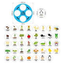 Quixorblex 1 Set Interactive Animal & Plant Life Cycle Felt Kit, Growth Sequencing & Matching Pieces, Montessori STEM Science Biology Teaching Aid, Logical Thinking Classroom Learning Supplies - Multicolor - View 12