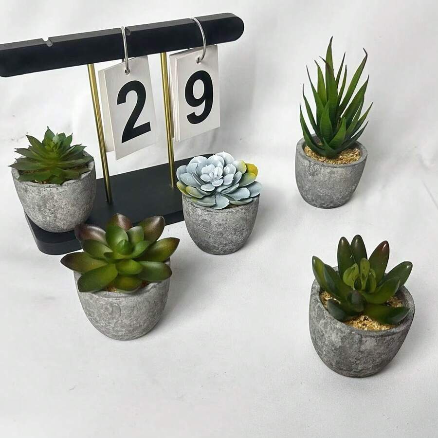 5 pièces Succulente artificielle en pot, petite plante en pot factice pour la décoration de la maison, la Saint-Valentin, les cadeaux - Multicolore - Voir 1