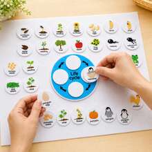 Quixorblex 1 Set Interactive Animal & Plant Life Cycle Felt Kit, Growth Sequencing & Matching Pieces, Montessori STEM Science Biology Teaching Aid, Logical Thinking Classroom Learning Supplies - Multicolor - View 4