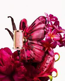 Parfum - Bloemen - Bekijken 5