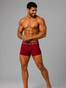 Kit com 3 Cuecas Boxer Lisa em Poliéster Premium Cueca Box Adulto Masculina Conforto e Qualidade - Multicolorido - Visão 3