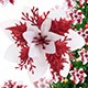 White Red