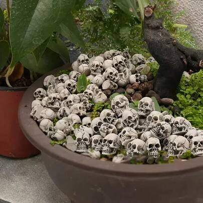 20pcs Mini Skull Statues, Random Patterns Of Mini Skull Statues, Garden, Lawn And Garden Sculptures, Statues, Outdoor Decorations, Outdoor Statues, Cute Garden Decorations, Plant Pot Accessories, Halloween Decorative Gifts.