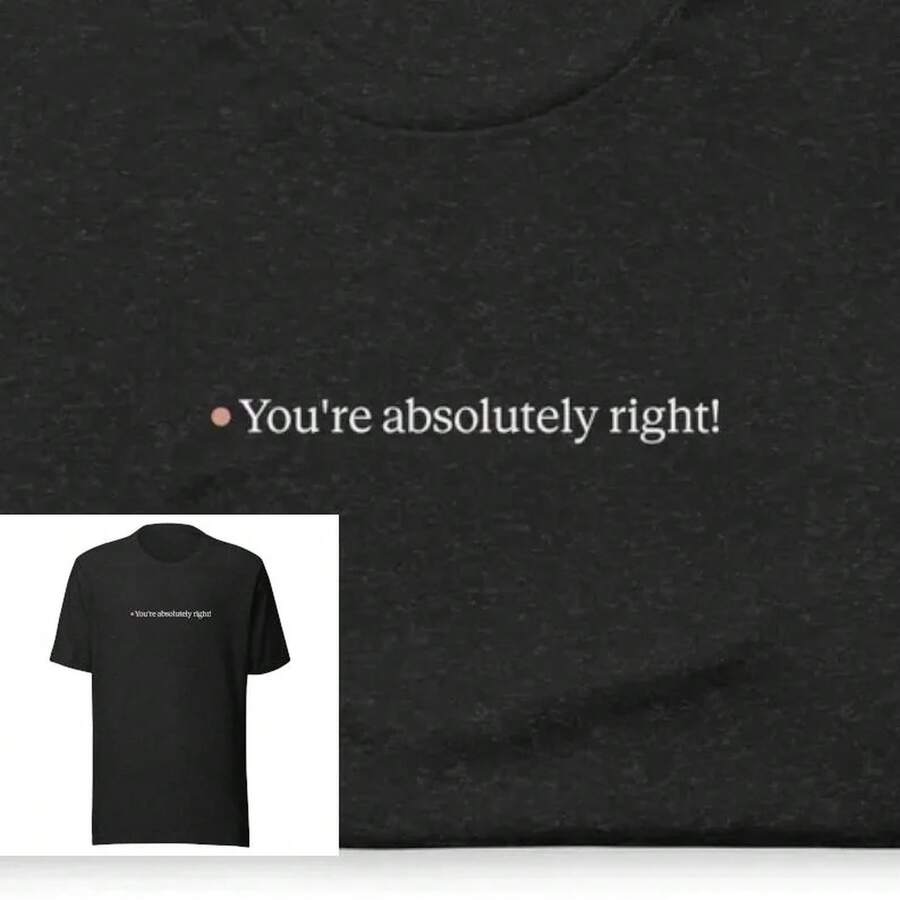 You'Re Absolutely Right!Shirt| Gift For Developers, Coders & Tech Enthusiasts| Validation Tee| Meme Tee For Tech AI Fans GenAI LLM Humor - 黑色 - 查看 1