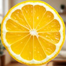 Lemon Slice Quiet Stillness In A Single Sunlit Cross-Section Magnet Where The Simplest Beauty Needs No Embellishment Keepsake For All Metal Surfaces Throughout The Home - B - View 7