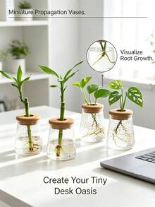 Transparent Glass Hydroponic Vase, Geometric Shaped Vase With Wooden Lid Planter, Desktop Air Purifying Succulent Plant Pot - Multicolor - View 3