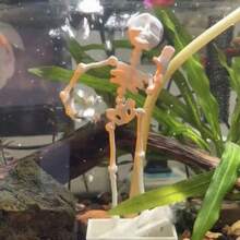 1pc Dancing Skeleton Aquarium Decoration, Oxygen Tube Not Included - A - View 5