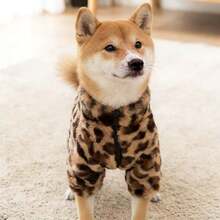 Fashionable Dog & Cat Leopard Print Two-Sleeve Handsome Hoodie Sweatshirt, Cute Zipper Jacket For Pets, Autumn/Winter - Multicolor - View 7