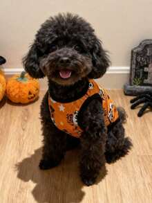 LUCKIE PAL 2pcs Halloween Skull Pattern Print Pet Vest, Physical Flea Prevention, Reduces Shedding, Insulated & Breathable, Suitable For Small And Large Dogs And Cats, Indoor And Outdoor - Multicolor - View 4
