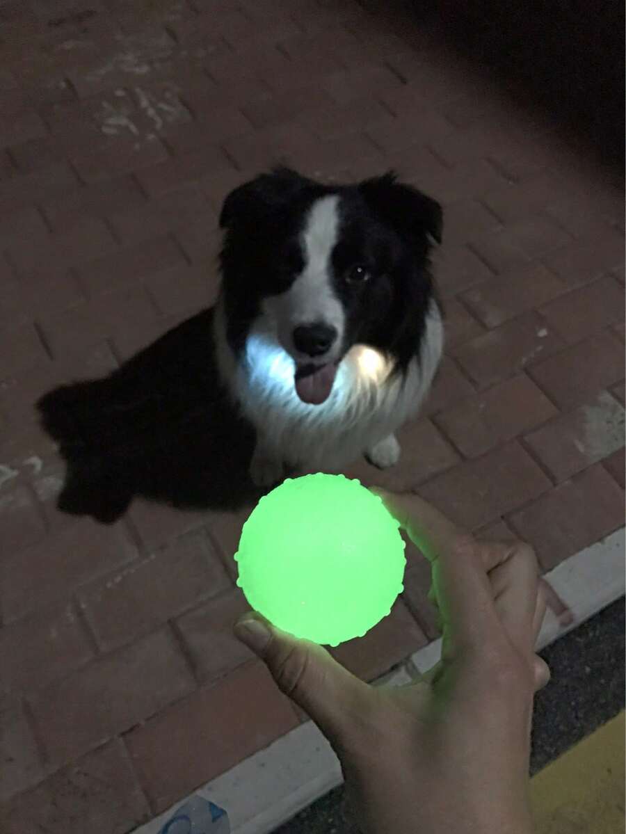 Glow-In-The-Dark Tennis Ball, Dog Pet Ball, Luminous Fetch Training Ball, Bouncy Non-Slip Rubber Floating Interactive Toy, Suitable For Puppies, Small And Medium Dogs Night Outdoor Exercise - Multicolor - View 1