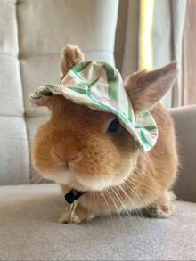 Cute Rabbit Small Animal Pet Hat Clothing Set Accessories, Suitable For Rabbits, Guinea Pigs, Kittens, Puppies, Ferrets - Multicolor - View 9