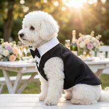 1pc Pet Dog Suit Tuxedo, Gentleman Style With Sleeves, Bow Tie Decor, Non-Stretch Fabric, Please Choose One Size Up, Suitable For Small/Medium Dogs And Cats, Pet Wedding And Garden Party Use, Top Choice For Pet Wedding Gift - Black - View 7