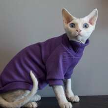 Pet Clothing Solid Color Ribbed Two-Legged Outfit, All-Season Wearable, High Elasticity Fitted Warm Base Layer, Suitable For Hairless Cats, Devon Rex, Abyssinian Pet Cats - Purple - View 2