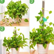 1/2/6件組植物支撐苔蘚柱套裝，塑膠苔蘚柱，植物支架，園藝用品，植物配件 - 多款式 - 查看 2