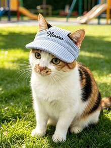Customized Dog Hat With Ear Holes, Dog Summer Ear-Hole Sun Protection Hat,Adjustable Dog Sun Hat,Personalized Corduroy Pet Baseball Cap, Sun Hat Suitable For Small, Medium And Large Dogs, Puppy Gift - Multicolor - View 7