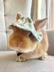Cute Rabbit Small Animal Pet Hat Clothing Set Accessories, Suitable For Rabbits, Guinea Pigs, Kittens, Puppies, Ferrets - Multicolor - View 11