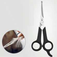 Pet Grooming Scissors Set, Suitable For Dogs And Cats, Round Tip Design, Stainless Steel Material, Can Trim Dog Eyes, Professional Home Pet Grooming Tool - Suitable For Large And Small Animals - Black - View 9