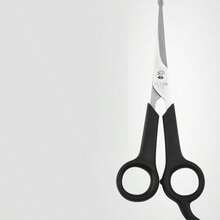 Pet Grooming Scissors Set, Suitable For Dogs And Cats, Round Tip Design, Stainless Steel Material, Can Trim Dog Eyes, Professional Home Pet Grooming Tool - Suitable For Large And Small Animals - Black - View 10
