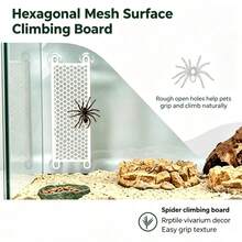 Wall‑Mount Suction Cup Hexagonal Mesh Climbing Board, Jumping Spider Enclosure Accessory, Plastic Vivarium Decor, Tarantula Spider Climbing Rest Exploring Habitat Decor For Small Exotic Insect Pets - View 1