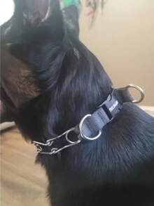 Quick-Release Martingale Pinch Training Collar, 21" Black - Black - View 5