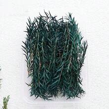 1 Box Realistic Artificial Foliage, Thousand-Layer Gold, Handmade DIY Floral Material, Resin Pressed Flower Floating Vase Making Material, Home Decor, Envelope Decoration, Small Bouquet Making - Multicolor - View 5
