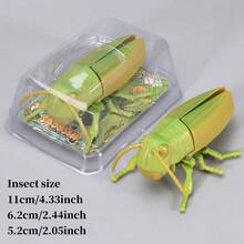 Realistic Insect Wind-Up Toy Model: Crawling And Glow-In-The-Dark - Educational Insect Museum Toy For Teens, Develops Visual And Hand-Eye Coordination Skills, Interactive Toy Party Gift - Multicolor - View 15