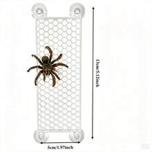 Wall‑Mount Suction Cup Hexagonal Mesh Climbing Board, Jumping Spider Enclosure Accessory, Plastic Vivarium Decor, Tarantula Spider Climbing Rest Exploring Habitat Decor For Small Exotic Insect Pets - View 4